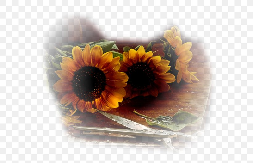 Common Sunflower Cloth Napkins Table Desktop Wallpaper Vase, PNG, 610x528px, Common Sunflower, Artificial Flower, Calendula, Cloth Napkins, Daisy Family Download Free