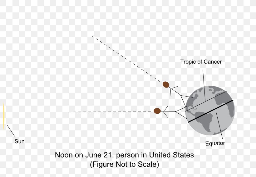 Line Clothing Accessories Point Angle, PNG, 800x570px, Clothing Accessories, Diagram, Fashion, Fashion Accessory, Organism Download Free