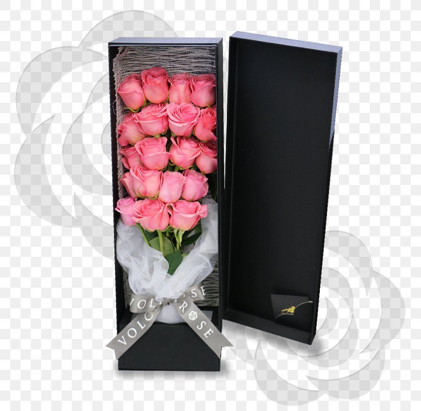 Pink M Picture Frames Cut Flowers Petal, PNG, 800x800px, Pink M, Cut Flowers, Flower, Petal, Picture Frame Download Free
