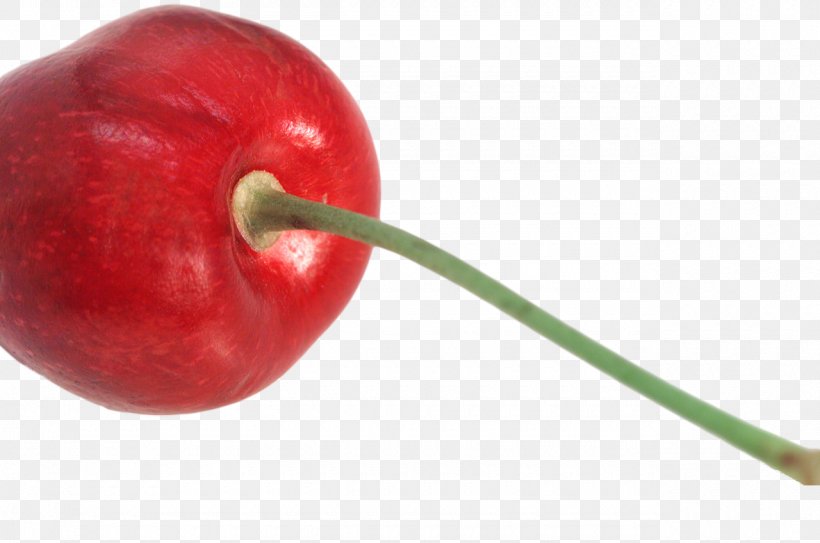 Rainier Cherry Fruit Bell Pepper Food, PNG, 1280x848px, Cherry, Bell Pepper, Bell Peppers And Chili Peppers, Capsicum Annuum, Chili Pepper Download Free