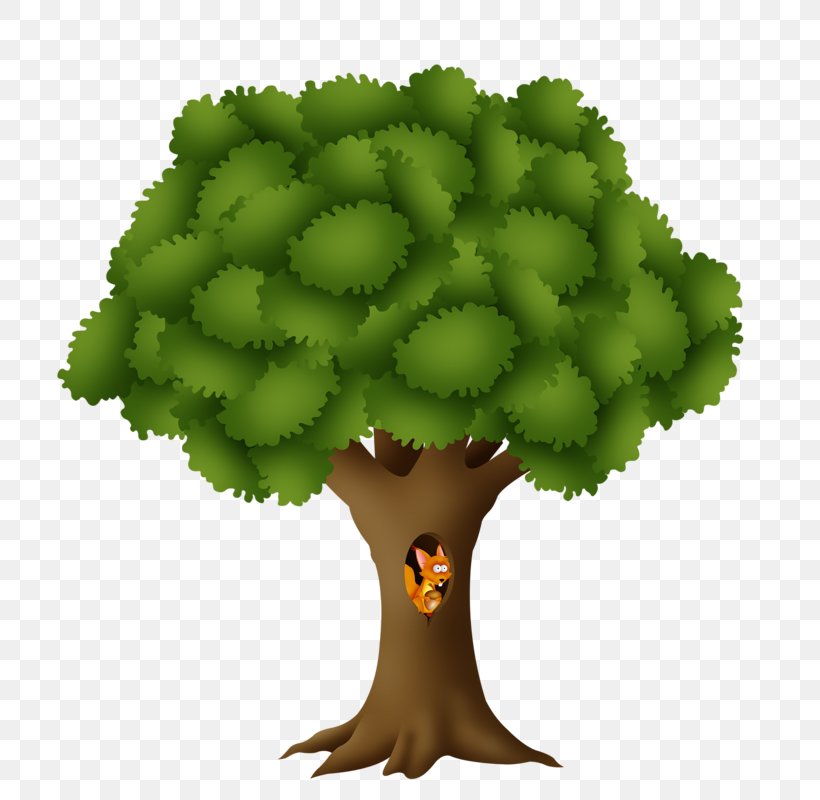 Tree Pine Clip Art, PNG, 800x800px, Tree, Animal, Christmas Tree, Fir, Flowerpot Download Free