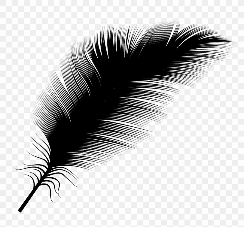 Black And White Feather, PNG, 900x840px, Black And White, Black, Close Up, Eyelash, Feather Download Free