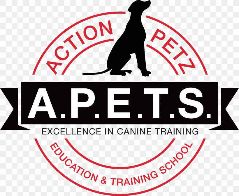 Dog Training Action Petz Bridgend Action Petz Newport Dog Park, PNG, 2362x1943px, Dog, Area, Brand, Bridgend County Borough, Dog Park Download Free