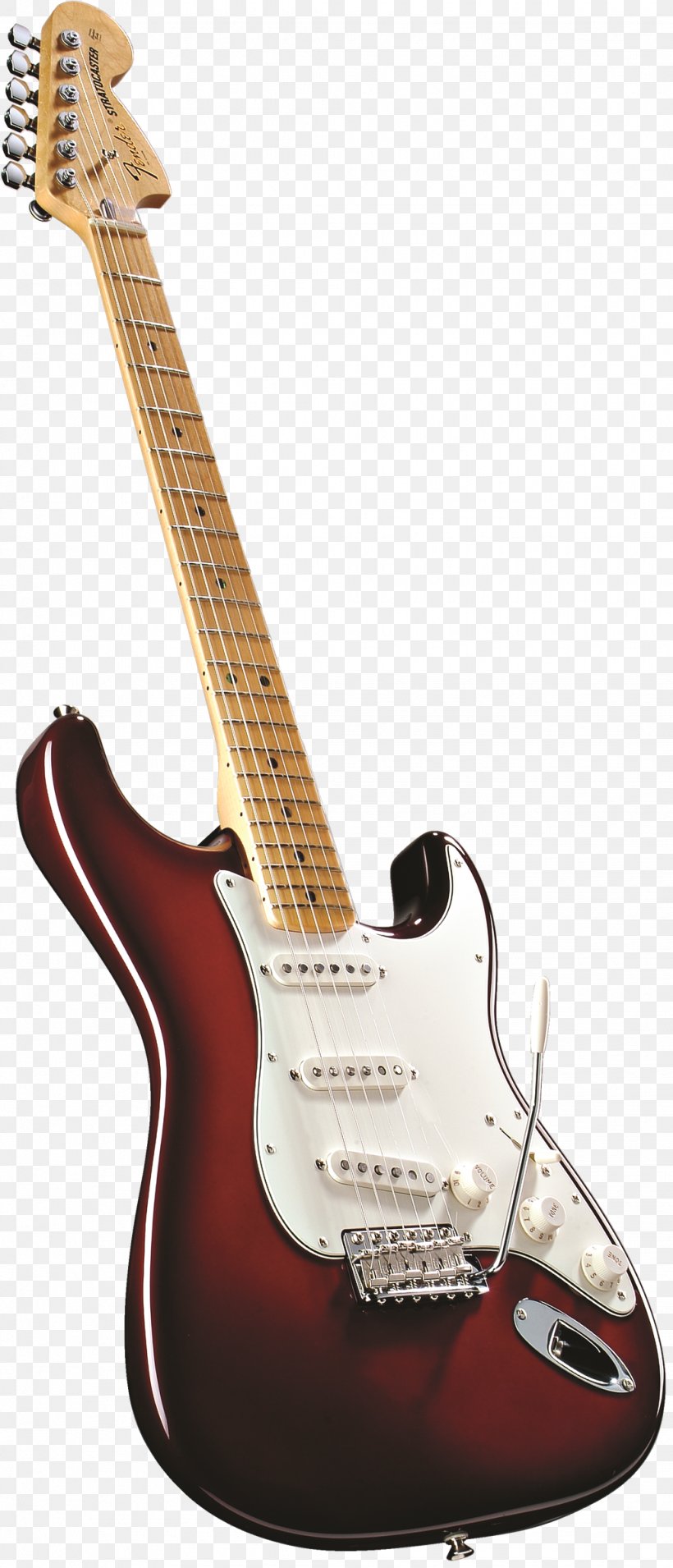 Fender Stratocaster Eric Clapton Stratocaster Musical Instruments String Instruments Guitar, PNG, 1030x2400px, Fender Stratocaster, Acoustic Electric Guitar, Acoustic Guitar, Bass Guitar, Bridge Download Free