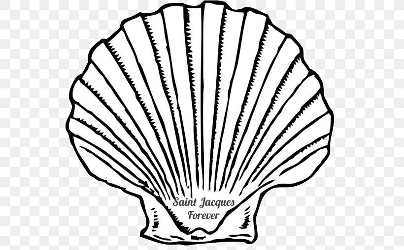 Seashell Clip Art Mussel Image, PNG, 580x509px, Seashell, Black, Blackandwhite, Coloring Book, Conch Download Free