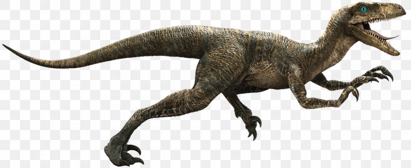 Velociraptor Deinonychus Tyrannosaurus Image, PNG, 1920x787px, Velociraptor, Animal Figure, Claw, Deinonychus, Dinosaur Download Free