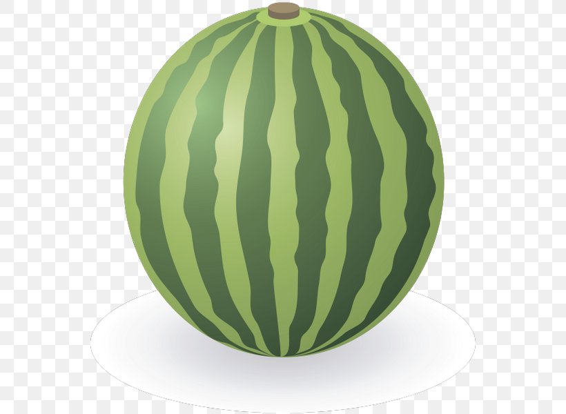Watermelon Fruit, PNG, 567x600px, Watermelon, Citrullus, Cucumber Gourd And Melon Family, Food, Fruit Download Free