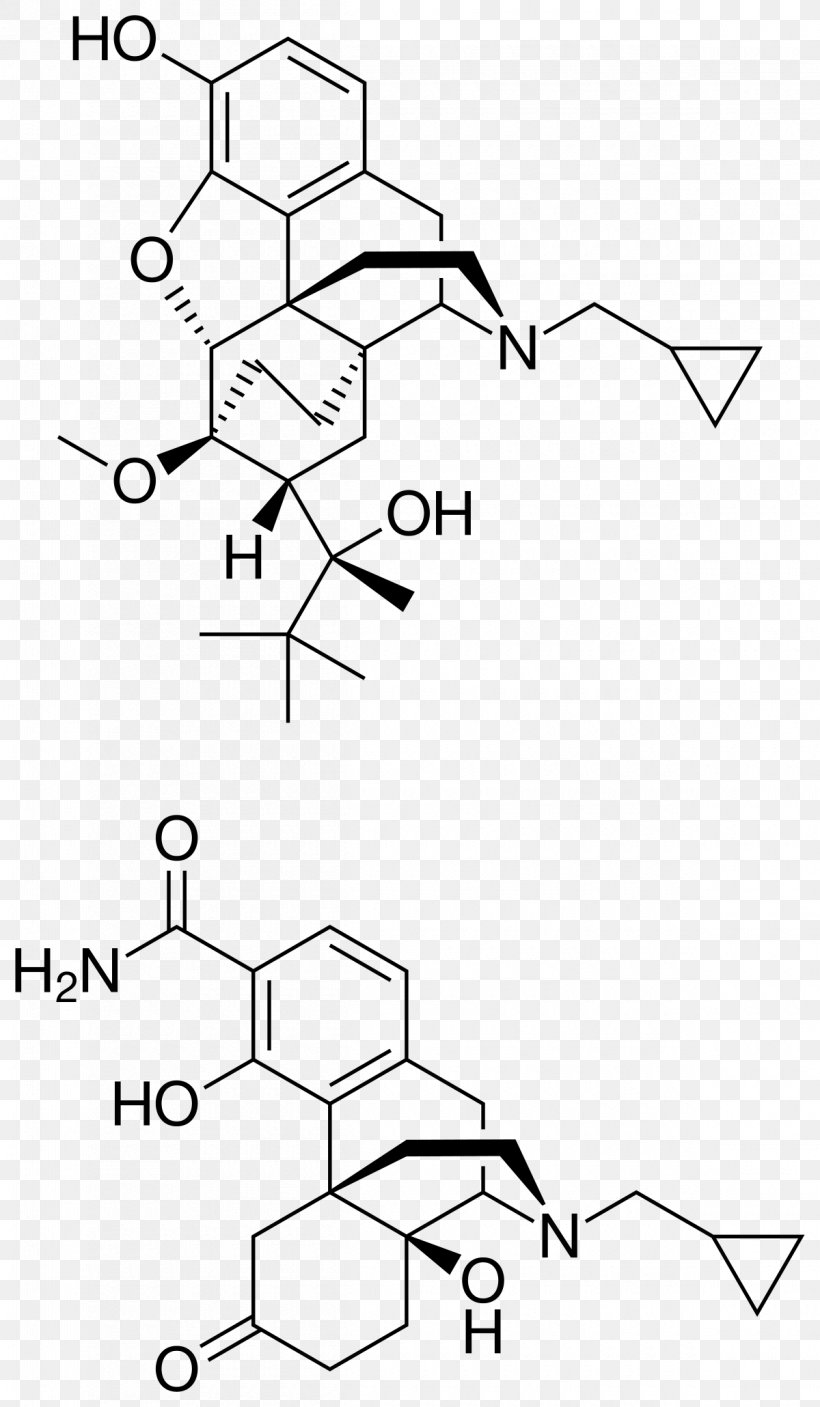 2,3-Bisphosphoglyceric Acid 1,3-Bisphosphoglyceric Acid Bisphosphoglycerate Mutase Red Blood Cell, PNG, 1200x2060px, Bisphosphoglycerate Mutase, Acid, Area, Auto Part, Base Download Free