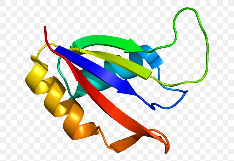 ALYREF Protein Exon Junction Complex Gene Wikipedia, PNG, 695x563px, Protein, Arabic Wikipedia, Area, Artwork, Exon Junction Complex Download Free
