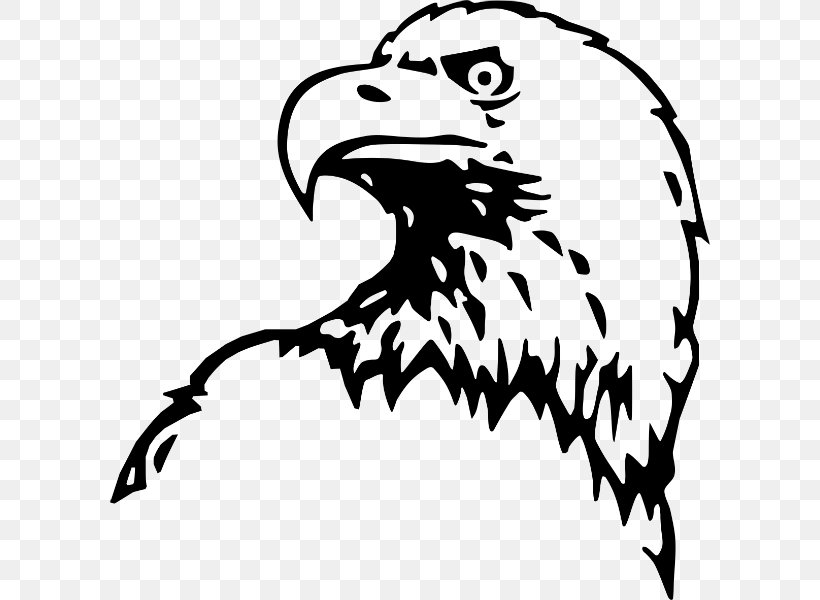 Bald Eagle Cross Peña Del Águila Clip Art, PNG, 600x600px, Bald Eagle, Accipitriformes, Artwork, Beak, Bird Download Free