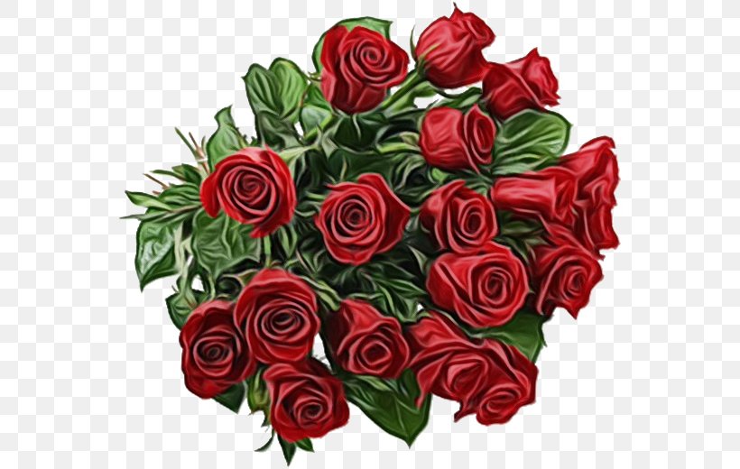 Garden Roses, PNG, 567x520px, Watercolor, Bouquet, Cut Flowers, Floribunda, Flower Download Free