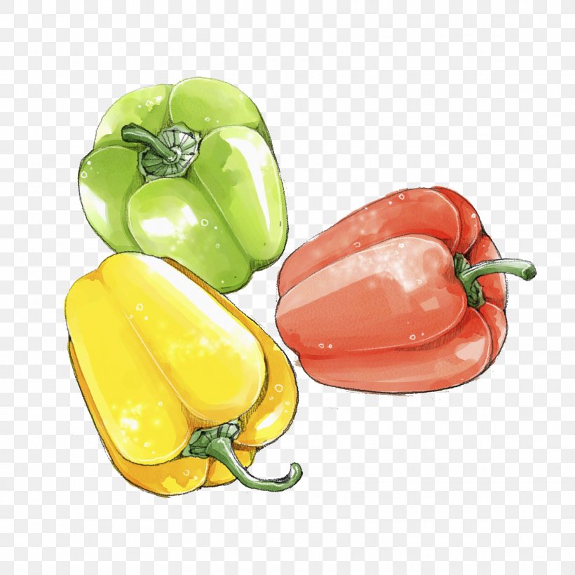 Habanero Bell Pepper Jalapexf1o Friggitello Yellow Pepper, PNG, 1869x1869px, Habanero, Bell Pepper, Bell Peppers And Chili Peppers, Capsicum, Capsicum Annuum Download Free