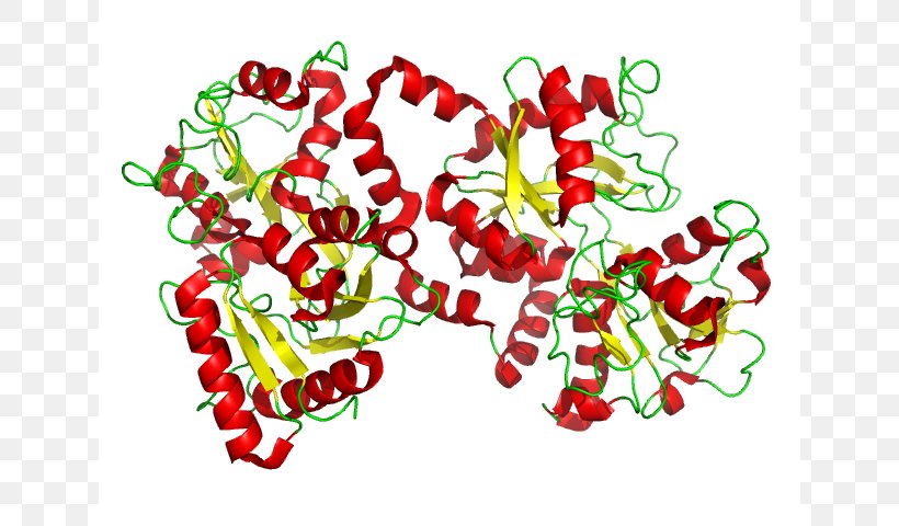 Lactoferrin: Structure, Biological Functions, Health Benefits And Clinical Applications Protein Research, PNG, 640x480px, Lactoferrin, Analysis, Casein, Flower, Flowering Plant Download Free