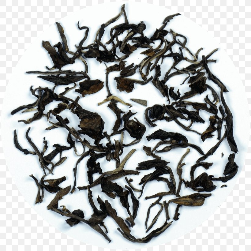 Nilgiri Tea Dianhong Golden Monkey Tea Tea Plant, PNG, 1640x1640px, 2018 Audi Q7, Nilgiri Tea, Assam Tea, Audi Q7, Bai Mudan Download Free