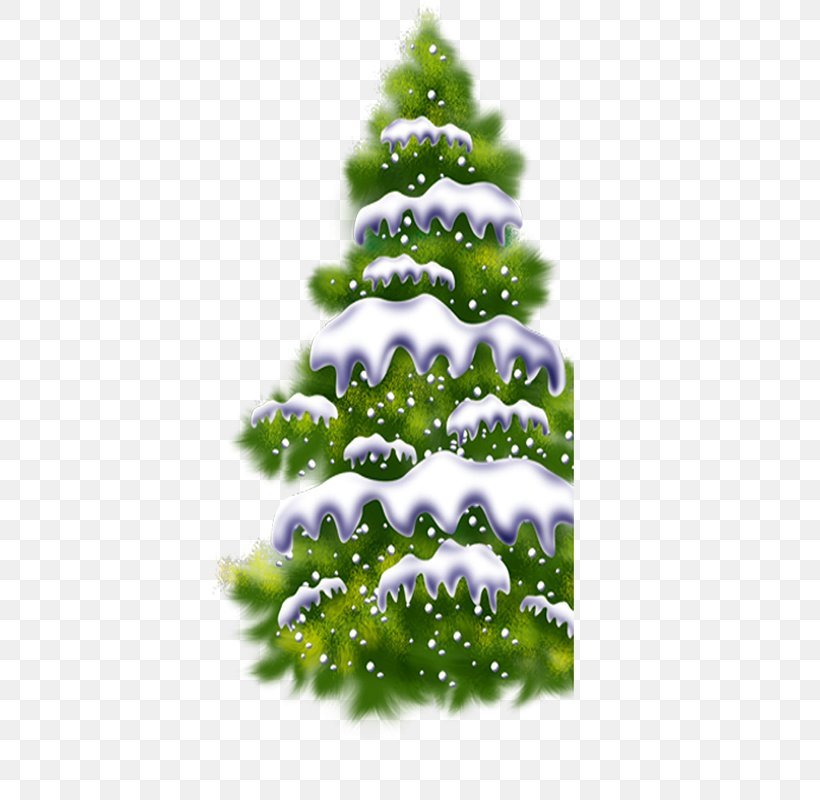 Christmas Tree Computer File, PNG, 800x800px, Christmas Tree, Christmas, Christmas Decoration, Christmas Ornament, Conifer Download Free