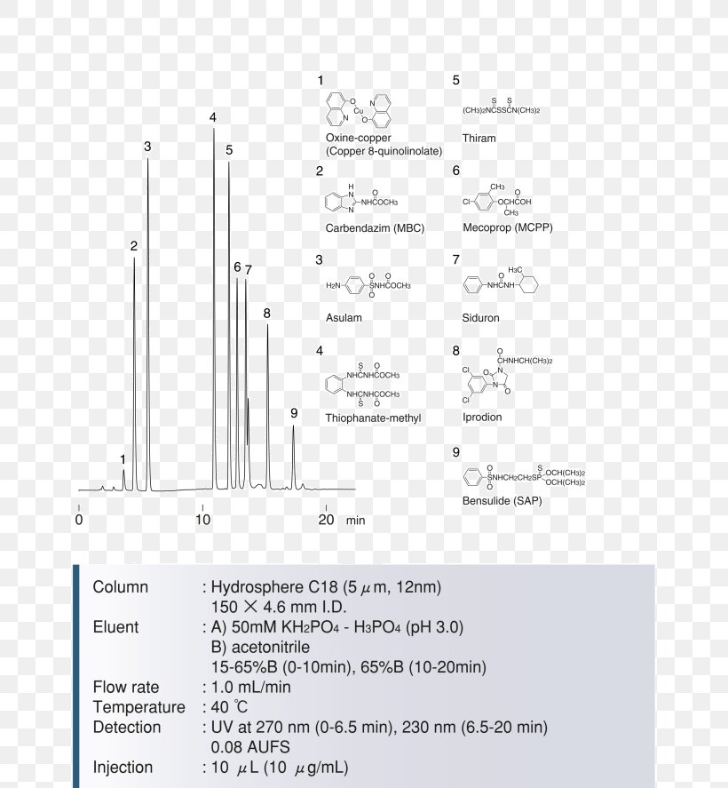 Product Design Line Angle, PNG, 810x887px, Text, Diagram Download Free