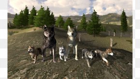 Saarloos Wolfdog Czechoslovakian Wolfdog Coyote Siberian Husky Alaskan Tundra Wolf Png 462x593px Saarloos Wolfdog Alaskan Tundra Wolf Canis Lupus Tundrarum Carnivoran Coyote Download Free - husky roblox hat