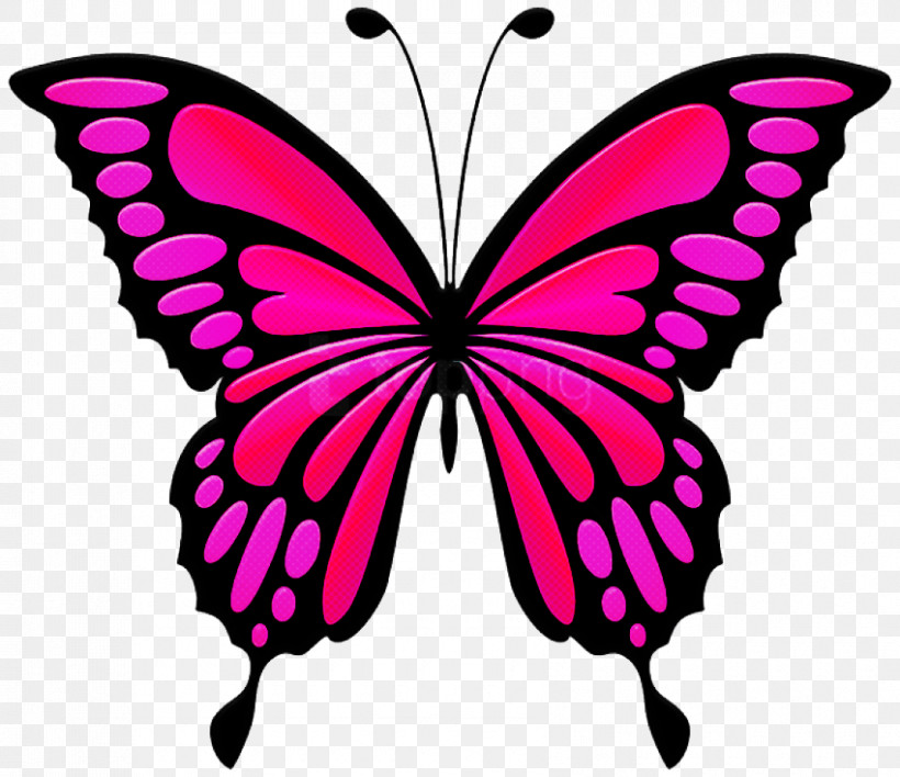 Moths And Butterflies Butterfly Cynthia (subgenus) Insect Pink, PNG, 850x734px, Moths And Butterflies, Butterfly, Cynthia Subgenus, Insect, Papilio Machaon Download Free