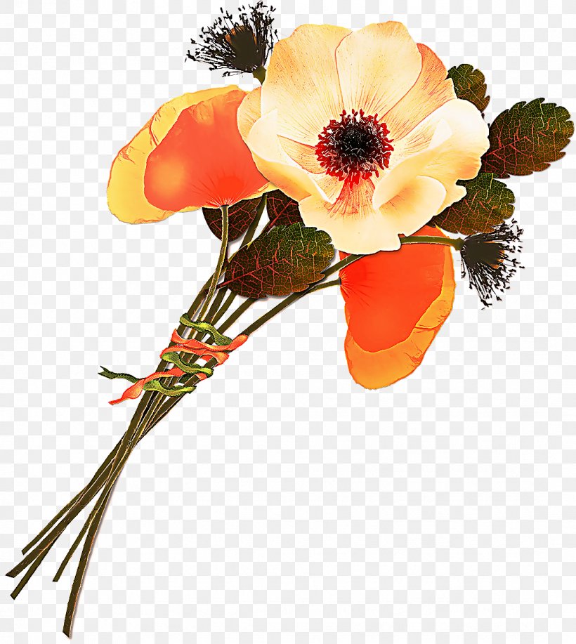 Orange, PNG, 1072x1200px, Flower, Bouquet, Cut Flowers, Flowering Plant, Orange Download Free