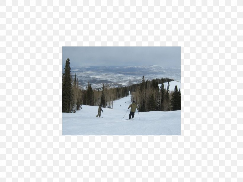 Snow Ski Sporting Goods Tree Sky Plc, PNG, 1024x768px, Snow, Freezing, Geological Phenomenon, Ice, Ski Download Free