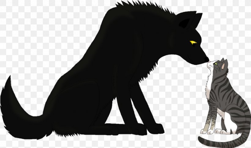 Whiskers Red Fox Cat Fauna Fur, PNG, 900x532px, Whiskers, Black Cat, Carnivoran, Cat, Cat Like Mammal Download Free