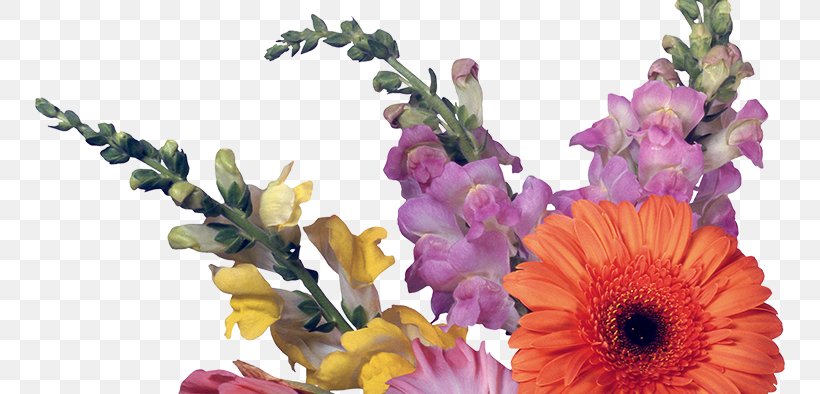 Floral Design Desktop Wallpaper Cut Flowers 1080p, PNG, 750x394px, Floral Design, Artificial Flower, Cut Flowers, Floristry, Flower Download Free