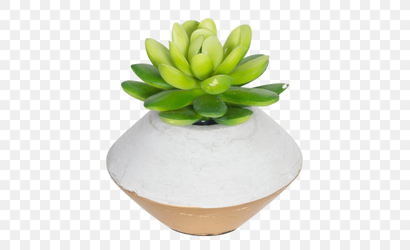 Flowerpot Succulent Plant Cactaceae Gold, PNG, 500x500px, Flowerpot, Bimbo Gift Shop, Cactaceae, Ceramic, Concrete Download Free