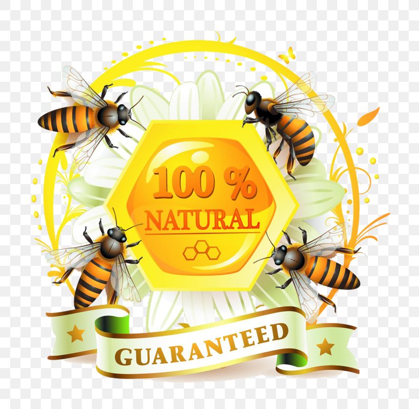 Honey Bee Label, PNG, 800x800px, Bee, Apiary, Arthropod, Beekeeping, Food Download Free