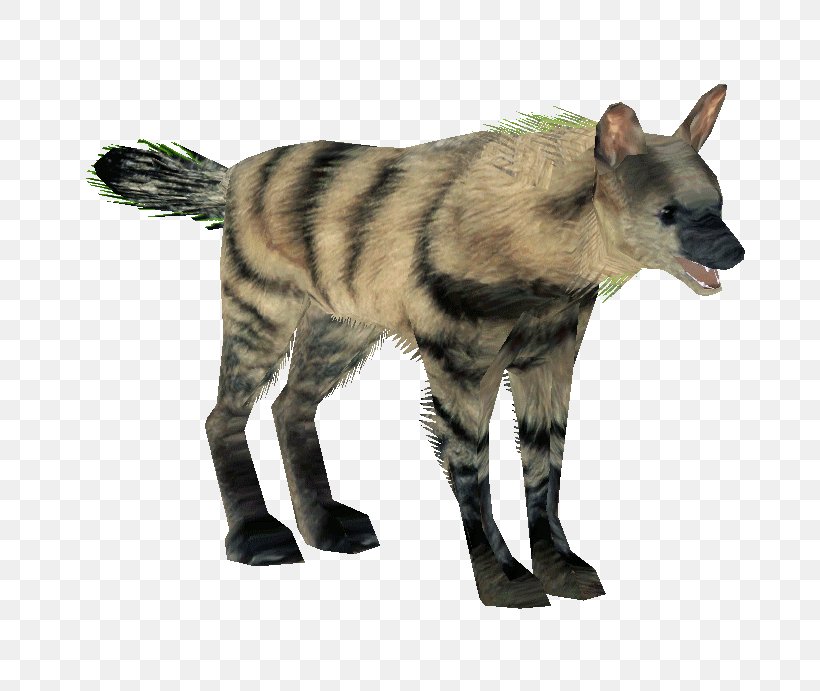 Hyena Aardwolf Mammal Carnivora, PNG, 691x691px, Hyena, Aardwolf, Animal, Canidae, Carnivora Download Free