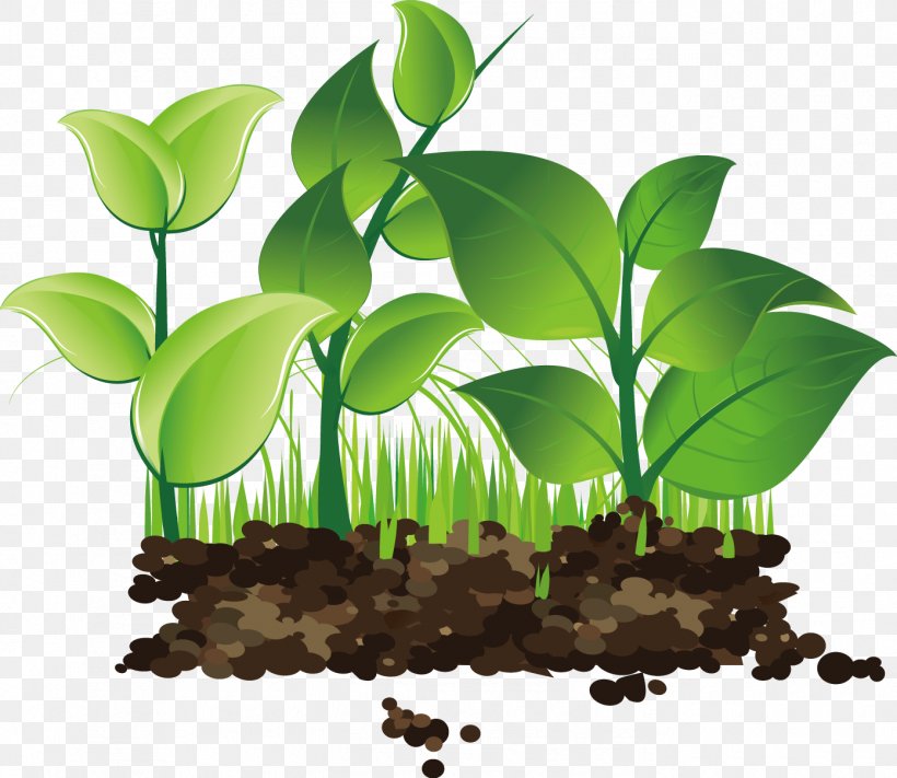 Illustration Design Image Vector Graphics Sprouting, PNG, 1392x1207px, Sprouting, Anthurium, Art, Botany, Drawing Download Free