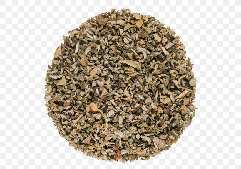 Anise Spice Common Sage Herb Chun Mee, PNG, 600x573px, Anise, Apiaceae, Chun Mee, Chun Mee Tea, Common Sage Download Free