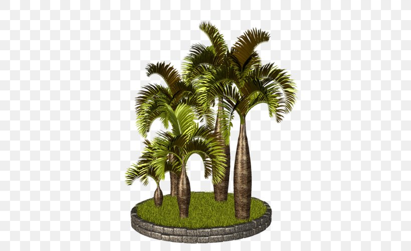 Asian Palmyra Palm Arecaceae PhotoScape Clip Art, PNG, 396x500px, Asian Palmyra Palm, Arecaceae, Arecales, Attalea, Attalea Speciosa Download Free