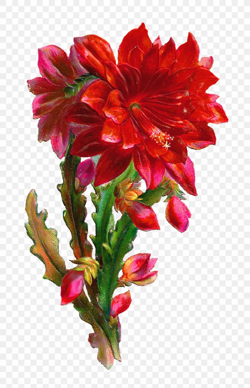 Flower Bouquet Clip Art, PNG, 867x1347px, Flower, Alstroemeriaceae, Beauty, Canna Family, Canna Lily Download Free