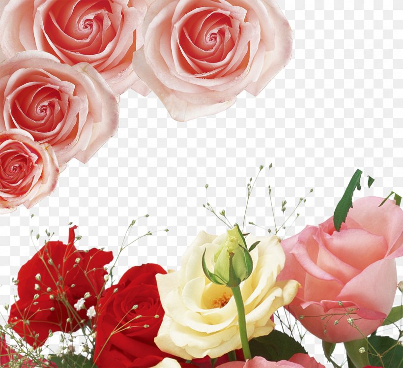 Garden Roses Centifolia Roses Beach Rose Floribunda Pink, PNG, 1200x1095px, Garden Roses, Artificial Flower, Beach Rose, Centifolia Roses, Cut Flowers Download Free