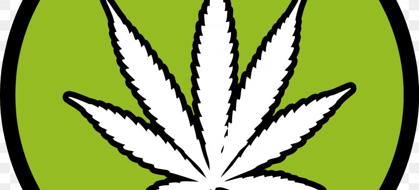 Medical Cannabis 420 Evaluations, PNG, 2286x1040px, 420 Evaluations, Cannabis, Black And White, Cannabinoid, Cannabis Sativa Download Free