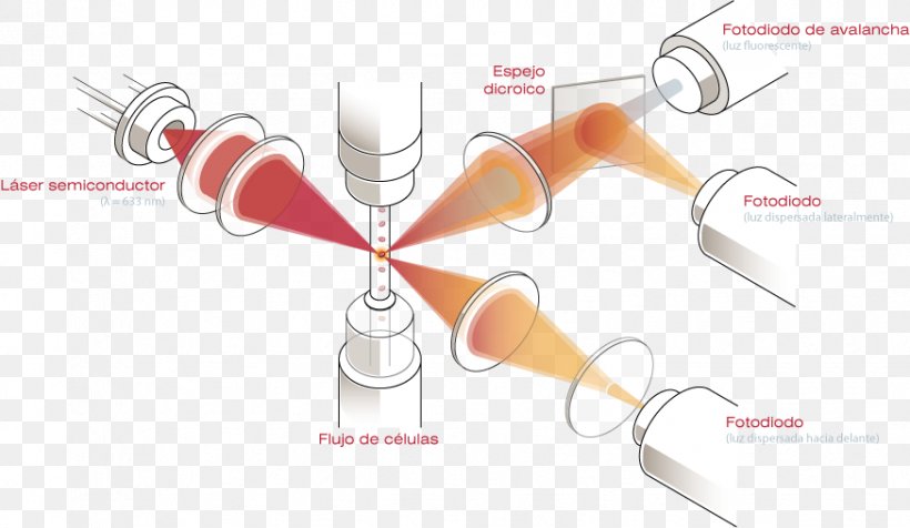 Reticulocyte Hematology Flow Cytometry Red Blood Cell, PNG, 874x508px, Reticulocyte, Analyser, Automated Analyser, Blood, Cell Download Free