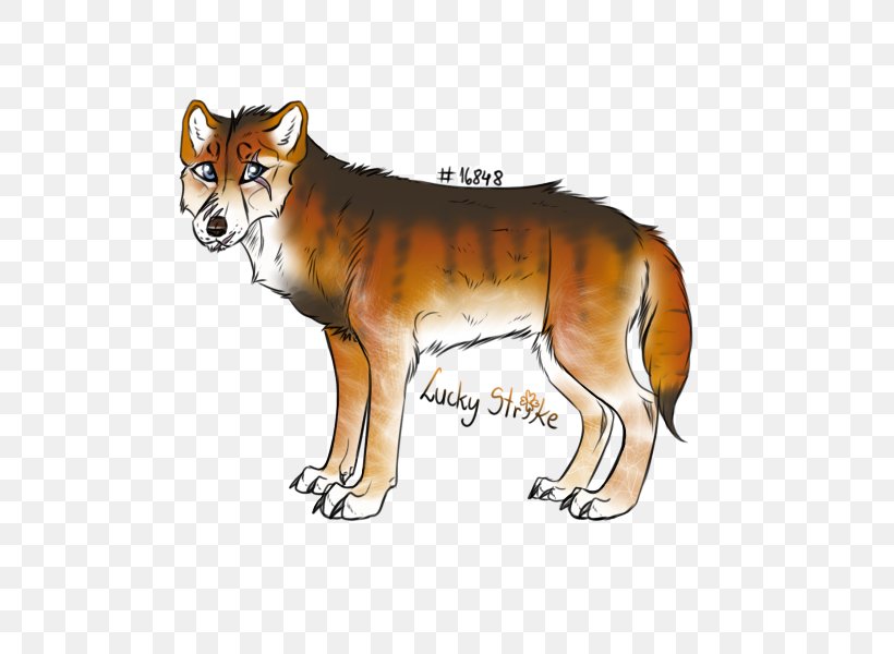 Dingo Red Fox Dhole Dog Red Wolf, PNG, 600x600px, Dingo, Big Cat, Big Cats, Carnivoran, Cat Download Free