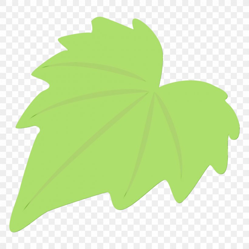 Maple Leaf, PNG, 1200x1200px, Watercolor, Grass, Green, Ivy, Leaf Download Free