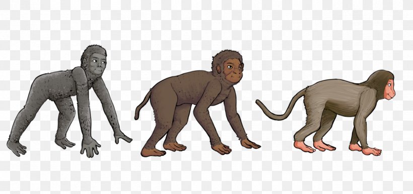 Primate Aegyptopithecus Monkey Cercopithecidae Proconsul, PNG, 1302x614px, Primate, Aegyptopithecus, Animal, Animal Figure, Art Download Free