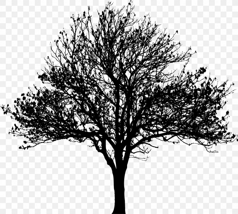 Tree Silhouette Drawing Clip Art, PNG, 2289x2062px, Tree, Alder, Black And White, Branch, Drawing Download Free