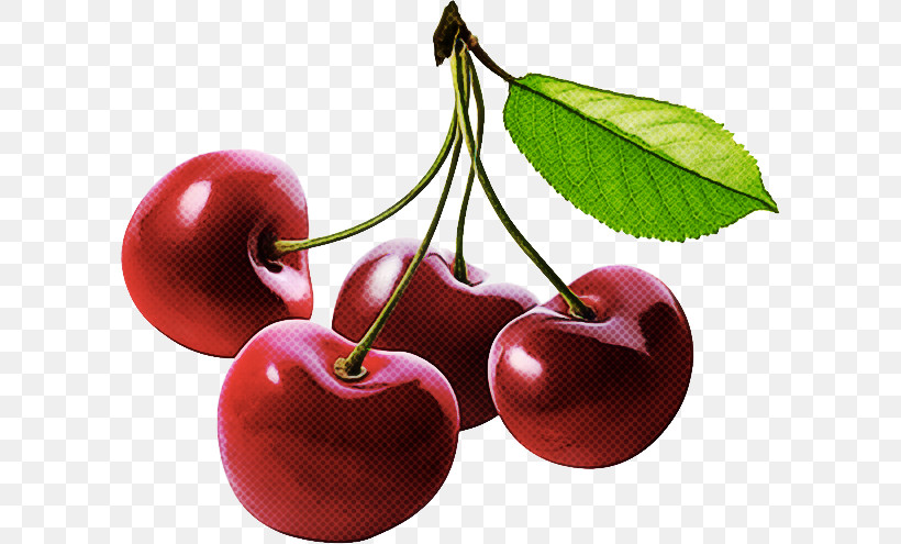 Cherry Fruit Plant European Plum Food, PNG, 600x495px, Cherry, European Plum, Food, Fruit, Leaf Download Free