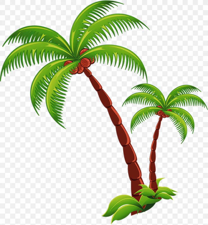 Coconut Beach Computer File, PNG, 1218x1316px, Coconut, Arecaceae, Arecales, Beach, Branch Download Free