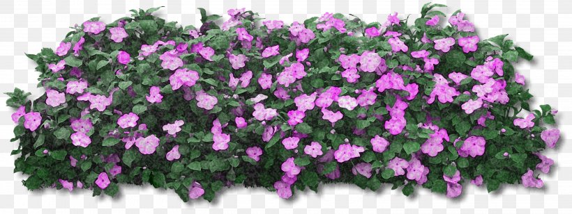 Flower Rendering, PNG, 3035x1143px, Flower, Annual Plant, Cut Flowers, Flower Garden, Flowering Plant Download Free