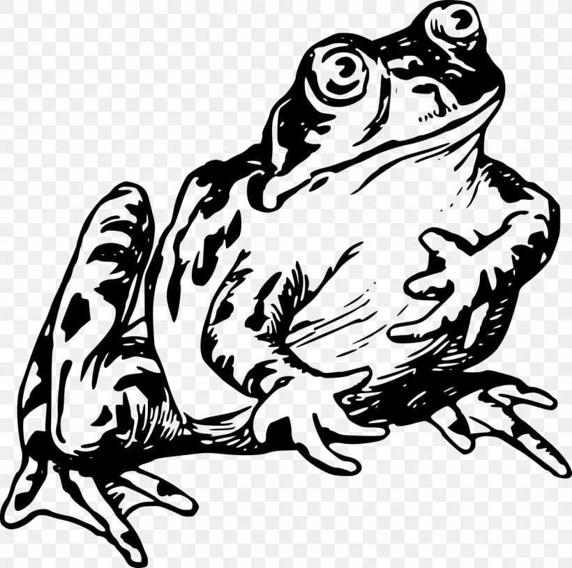 Frog Drawing Clip Art, PNG, 1280x1273px, Watercolor, Cartoon, Flower, Frame, Heart Download Free