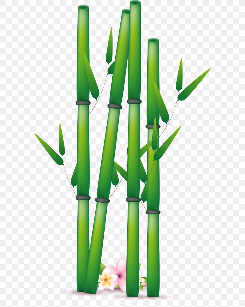 Flowerpot Grass Bamboo, PNG, 590x1024px, Tropical Woody Bamboos, Bamboo, Csssprites, Flowerpot, Grass Download Free