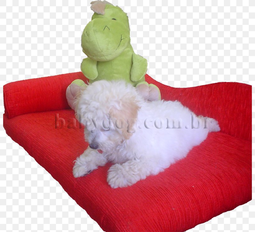 Toy Poodle Maltese Dog Miniature Pinscher Medium Poodle, PNG, 800x746px, Poodle, Animal, Bed, Bichon, Breed Download Free