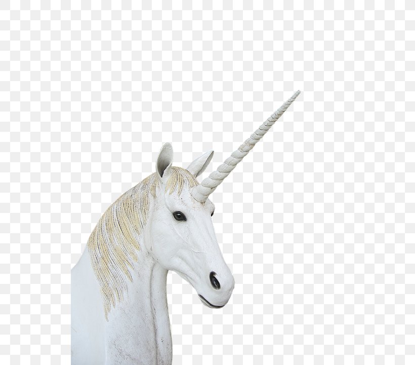 Unicorn Neck, PNG, 540x720px, Unicorn, Fictional Character, Horn, Mane, Mythical Creature Download Free