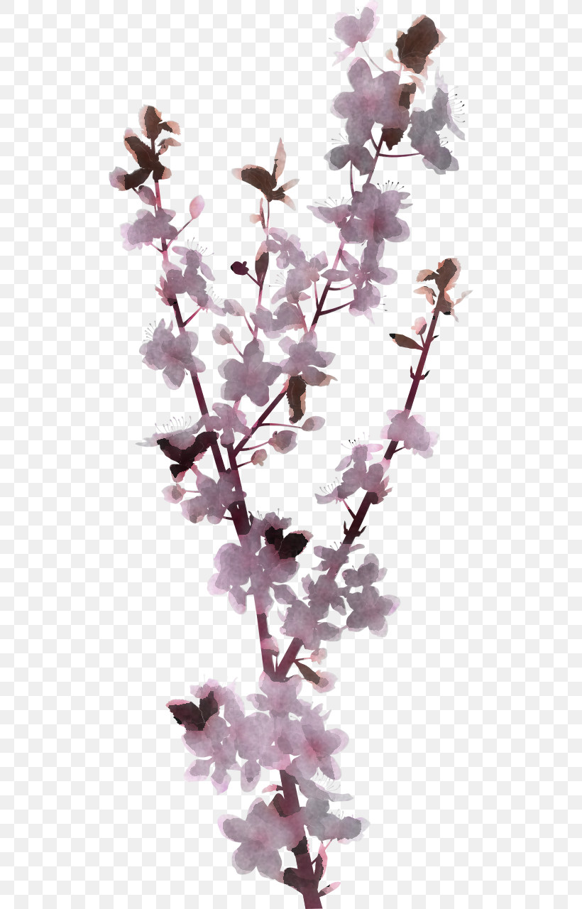 Cherry Blossom, PNG, 640x1280px, Plant Stem, Biology, Cherry, Cherry Blossom, Flower Download Free