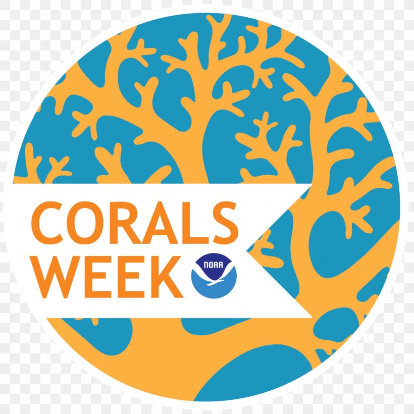 Corals - Coral Reef Marine Ecosystem PNG