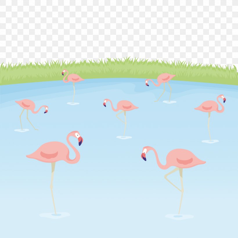 Greater Flamingo Bird, PNG, 1500x1500px, Greater Flamingo, Beak, Bird, Drawing, Flamingo Download Free